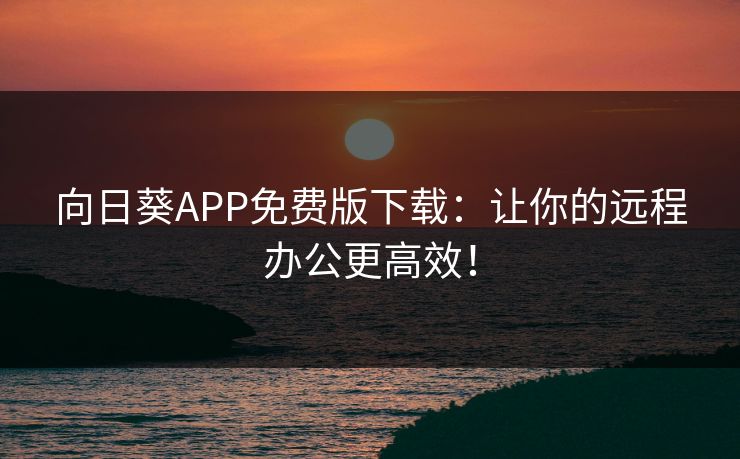 向日葵APP免费版下载：让你的远程办公更高效！
