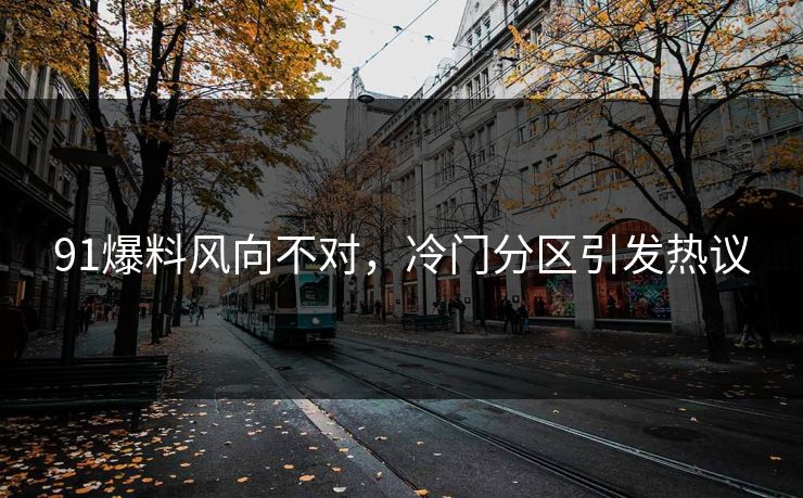91爆料风向不对，冷门分区引发热议
