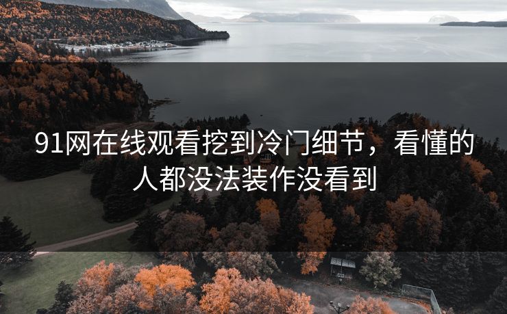 91网在线观看挖到冷门细节，看懂的人都没法装作没看到